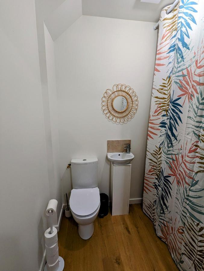 Douceur, Elegance Au Coeur D'Albi Apartment Exterior foto